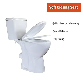 WinZo Rear Outlet Two Piece Toilet Extra Tall 19 inches